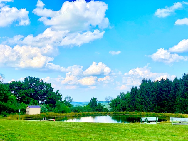 The serene pond on the FLX Glamping vineyard property