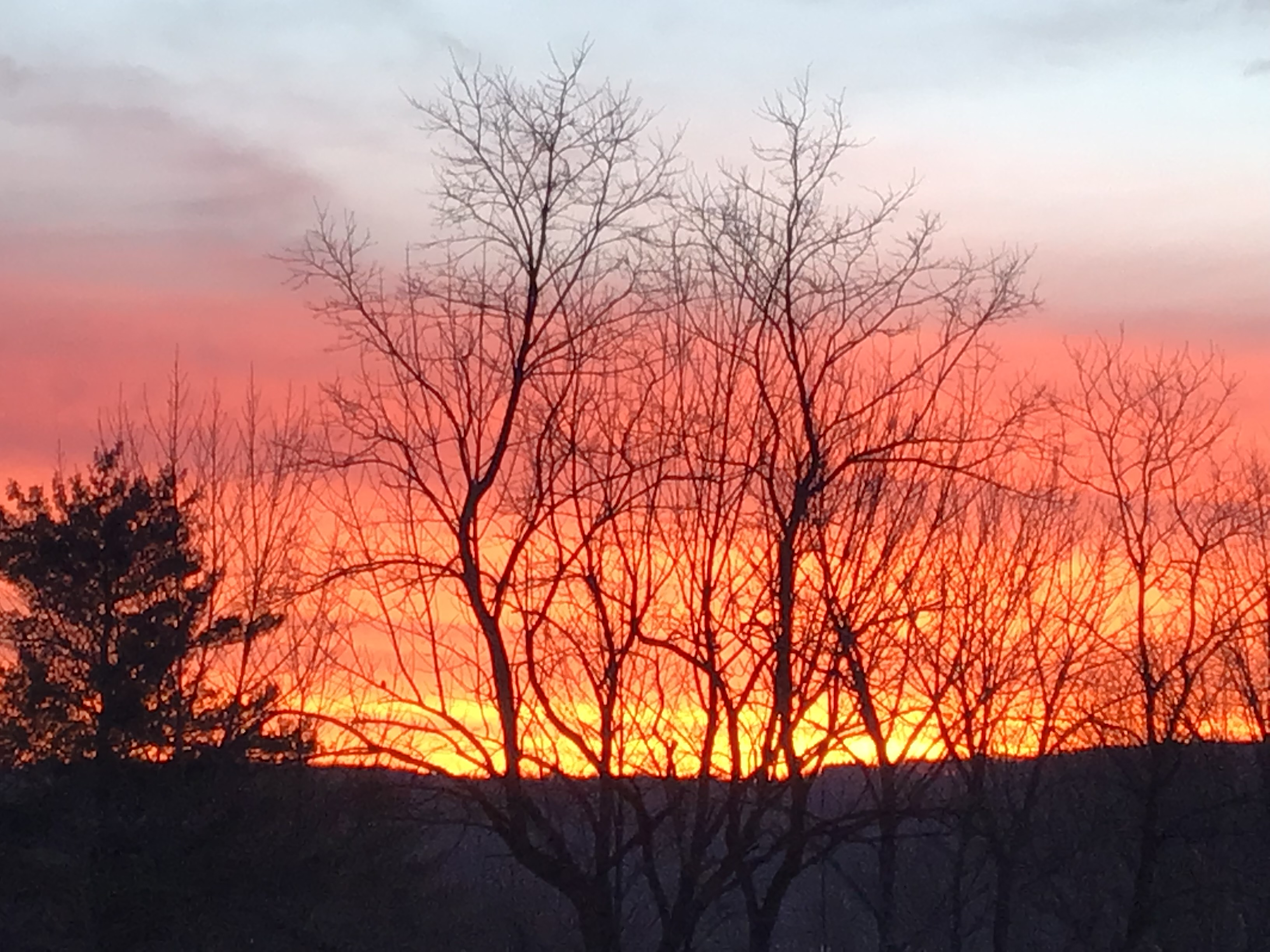 Sunset Glamping Cabin with golden hour vineyard views at FLX Glamping