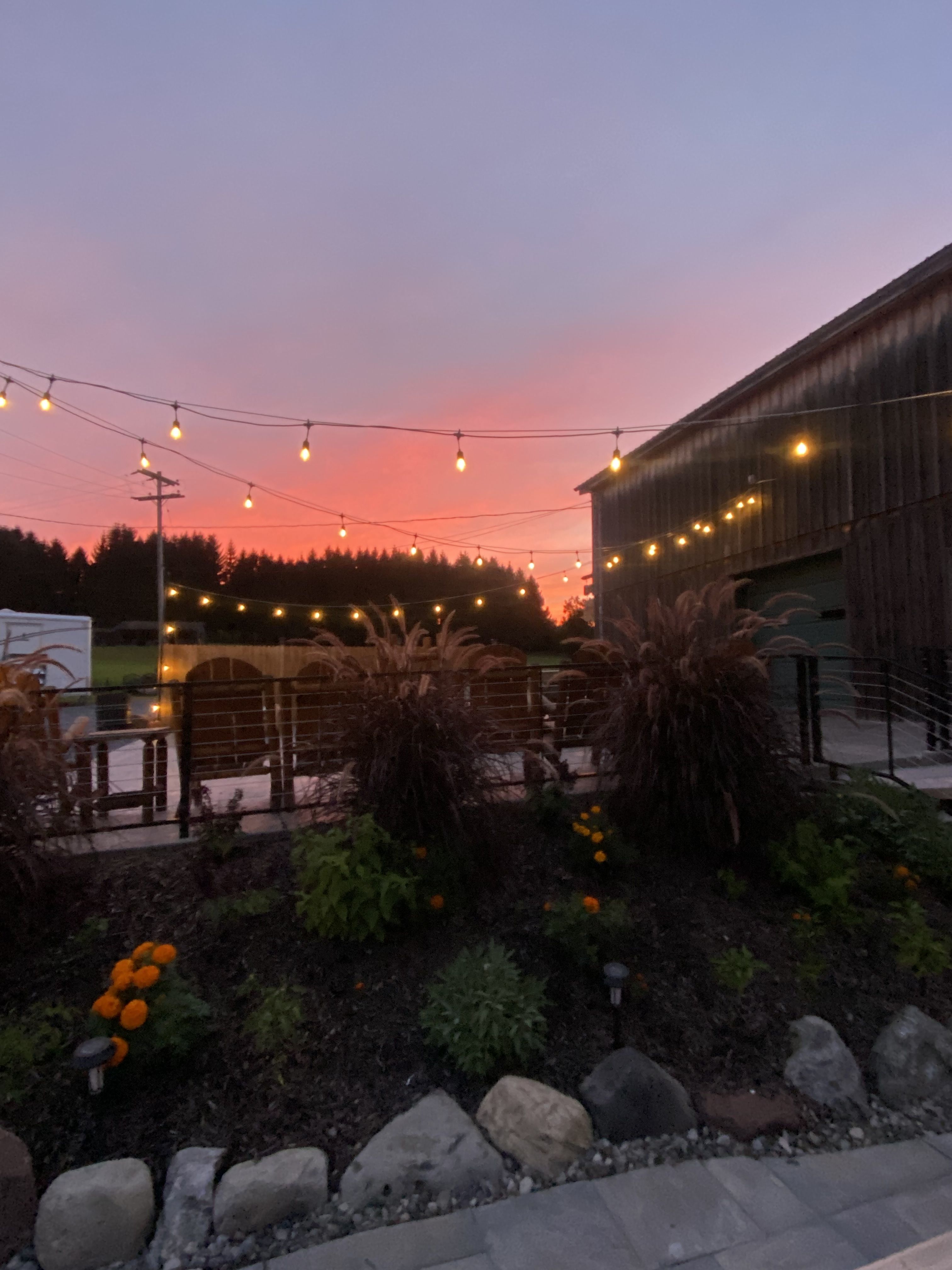 Golden hour at O-Neh-Da Vineyard