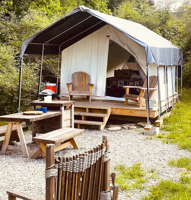 Wild Vine Safari Tent in the vineyard setting at FLX Glamping